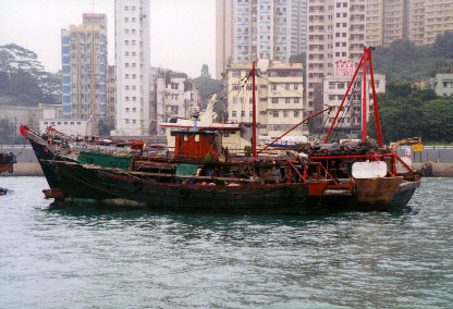 In Hong Kong Harbor